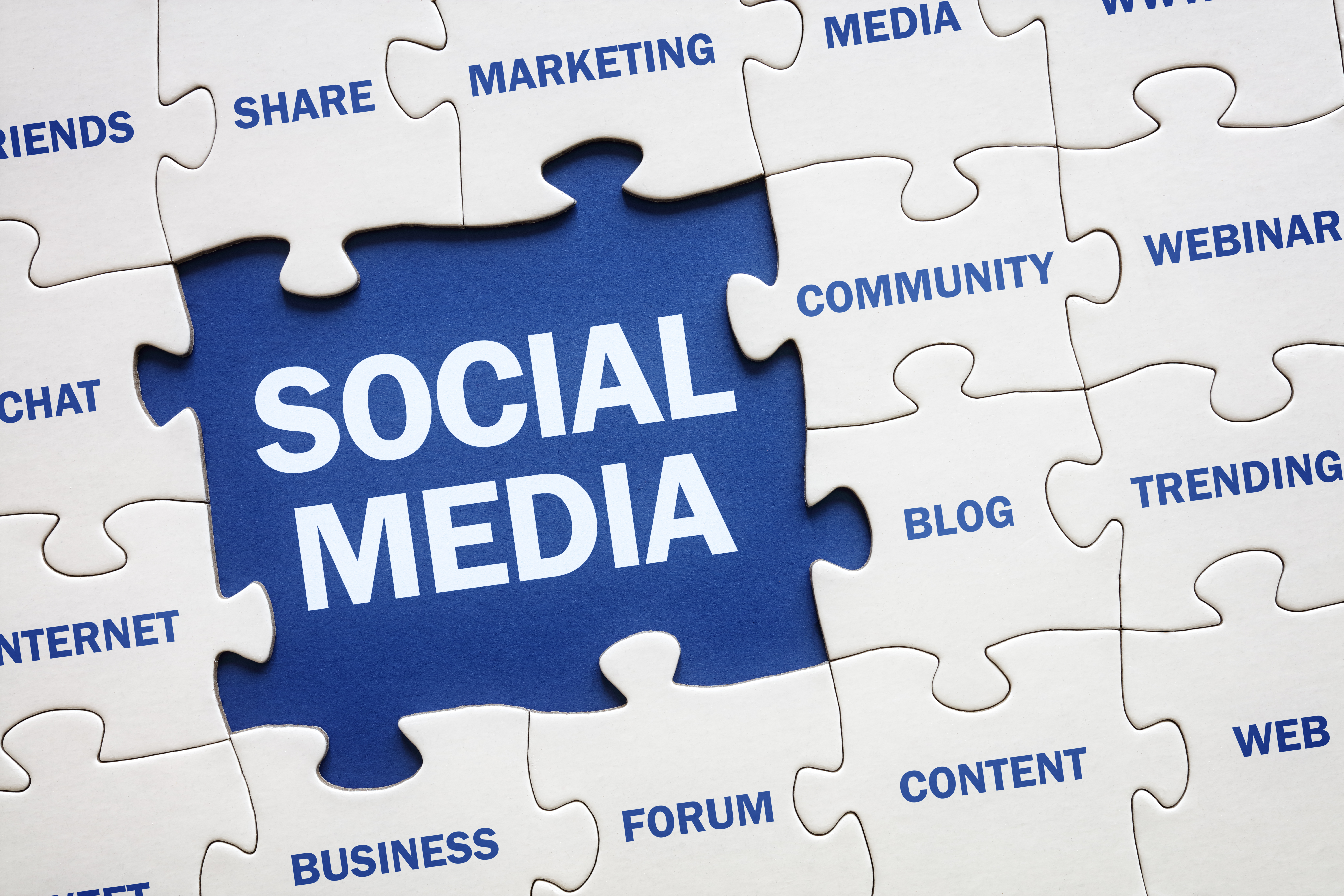 Which Social Media Platforms are the Best for Your Business?